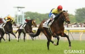 ディープインパクト　～不朽の光を放つ日本競馬史上最も偉大な一頭～