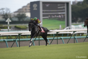 「メンツがえぐい！」道営の星やG2の鬼が誕生…セントライト記念の名勝ち馬（5）ジンクスに呪い…未だ破られないのは？