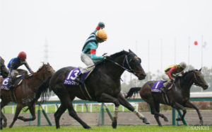 日本競馬史上最強のスプリンターの後継者は？【ロードカナロア産駒5選】