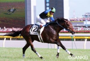 キングカメハメハ　〜史上初の変則2冠。産駒は芝・砂問わず。日本競馬史に残る異質な存在〜