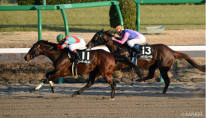 「地方馬だって負けてない…！ 」テレ玉杯オーバルスプリント名勝負（2）衰えなんてない！5番人気も跳ね返す