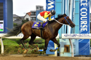 地方馬も善戦するダート短距離戦。連覇を達成したノブワイルドなど【テレ玉杯オーバルスプリント 5選】