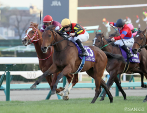 オカルトデータ研究室！ 有馬記念編「過去8年の勝ち馬は全て、芝1800mで勝利経験あり」