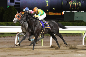「地方馬だって負けてない…！ 」テレ玉杯オーバルスプリント名勝負（4）驚異の勝率…千四巧者と謳われた名馬