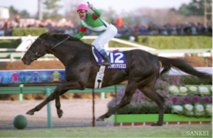 シンボリクリスエス　〜日本競馬に革命をもたらす米国生まれの最強馬〜