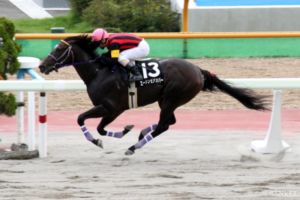 後の天皇賞馬も輩出…！ 白山大賞典の最強勝ち馬列伝（4）もう限界か…8歳で衰え指摘から衝撃の復活劇