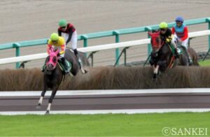 4度制覇の「ミス阪神ジャンプS」など印象的な勝ち馬をピックアップ【阪神ジャンプS 5選】