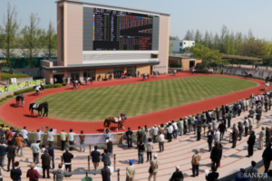 新潟競馬場の基礎知識