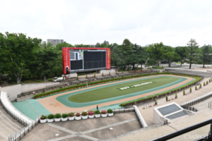 東京競馬場の基礎知識