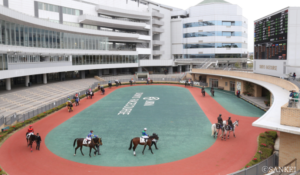 中京競馬場の基礎知識