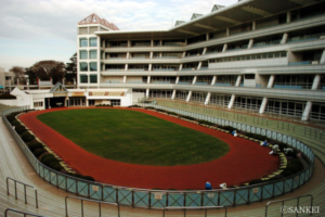 中山競馬場の基礎知識