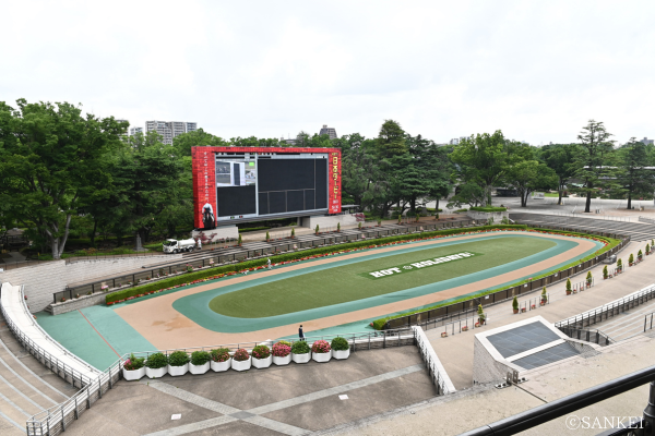 東京競馬場