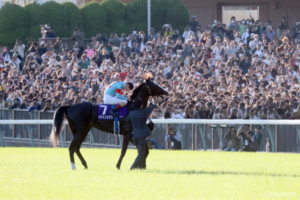 豪華メンバーが競演！古馬中距離王を決める天皇賞(秋)が開催【今週の注目レース】