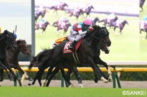 【富士S 結果】ジュンブロッサムが重賞初勝利！ 直線で鋭く伸びる