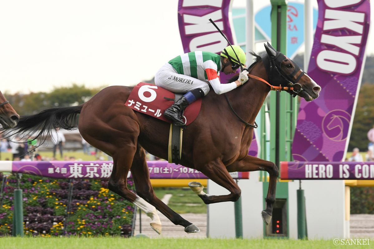 2023年富士Sを制した時のナミュール