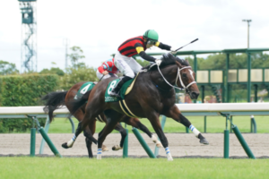 【京王杯2歳S 枠順確定】小倉2歳S覇者エイシンワンドは3枠3番、ヒシアマンは4枠6番