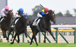 【先週の新馬戦】アパパネの仔アマキヒが新馬V！　アーモンドアイの初仔アロンズロッドは4着デビュー