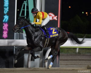 藤田菜七子騎手のお手馬などダートスプリント界の名馬が多数登場！【東京盃名勝負5選】