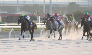 トップはイグナイター！ JBC2024記念「第7回地方競馬ファン投票」の最終結果が発表