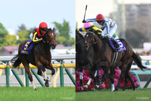 【天皇賞(秋) 予想】やはり『2強＋ルメール』の様相か……スポーツ新聞＆競馬専門誌の見解は？