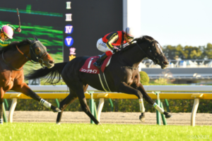 ソングラインやエアジハードなどが魅せた！後のG1馬を多数輩出した出世レース【富士S名勝負５選】