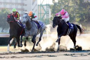 武豊の4連覇やJRA勢20連覇阻止など！ ドラマ生むダートの祭典【JBCクラシック名勝負 5選】