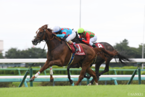 【菊花賞 有力馬診断】混戦模様の淀の決戦。軸にふさわしいのは春の実績馬？ それとも……