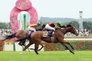 【秋華賞 有力馬診断】桜花賞・ステレンボッシュ＆オークス馬・チェルヴィニアを揺るがすのは？