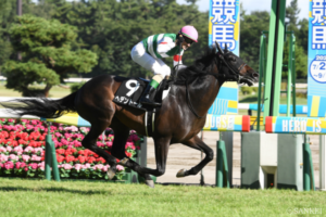 オカルトデータ研究室！ 菊花賞編　キャリア、前走人気、馬体重――導き出された一頭は？