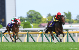 三冠牝馬リバティアイランドの勝率は0%!?　穴党必見のデータを発見【天皇賞(秋) 考察】