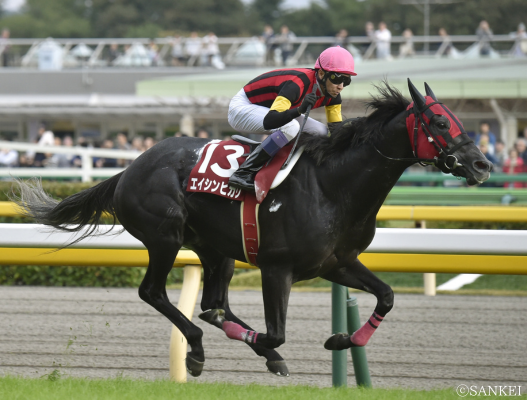 A Shin Hikari