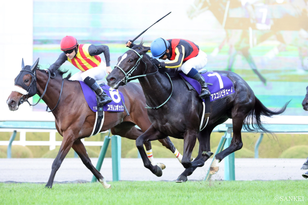 G1阪神ジュベナイルフィリーズのデータ分析【レースレコード・過去の