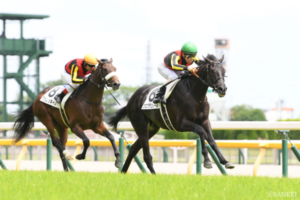 【東スポ杯2歳S枠順確定】クロワデュノールは4枠4番、レッドキングリーは7枠7番