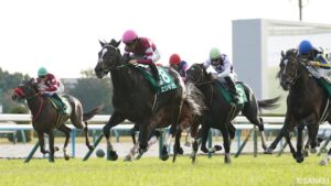 【京都2歳S 結果】エリキングが3連勝で重賞制覇！ 藤田氏は京都2歳S連覇