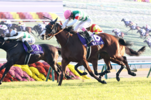 前年覇者ナミュールvs同年富士S勝ち馬ジュンブロッサム。勝率が高いのは？【マイルCS 考察】