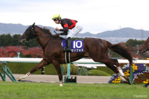 オカルトデータ研究室！ マイルCS編「過去6年の勝ち馬の前走枠番は4枠or5枠の中枠勢」