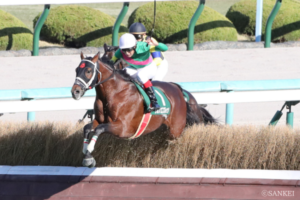 芝ダート障害の“三刀流”タガノエスプレッソや時代を築いたキングジョイなど【京都ジャンプS 名勝負5選】