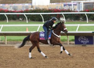 史上初の海外馬が出走へ！ BCジュベナイルフィリーズターフ2着のメイデイレディが阪神JFに参戦