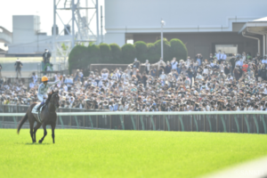 【登録馬】東京優駿