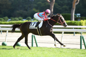 オカルトデータ研究室！ 阪神JF編「過去3年の勝ち馬は全て、〇〇での出走経験あり」