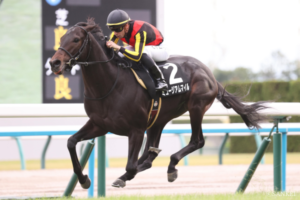 オカルトデータ研究室！ 朝日杯FS編「過去9年の勝ち馬のデビュー戦の競馬場は……」