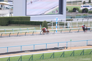 【12/14-15新馬戦】オーヴァルエース産駒ペイシャヴァルツーが2着に9馬身差をつけて快勝デビュー