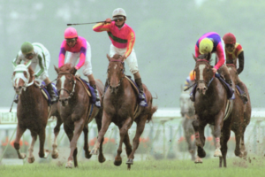 【写真で見る】テイエムオペラオーの軌跡　～秋古馬三冠、年間無敗の“世紀末覇王”～