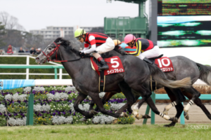 ファンの記憶に残り続ける“中山の鬼” (4)中山芝1800mの鬼でありシャティンの鬼