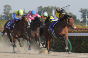 フェブラリーS走破タイムランキング【3位】東京ダートの鬼、爆誕！ 良馬場で叩き出した超速タイム