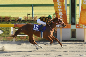 フェブラリーS走破タイムランキング【9位】ダート転向2戦目の圧勝劇！芝・砂問わないスピード自慢