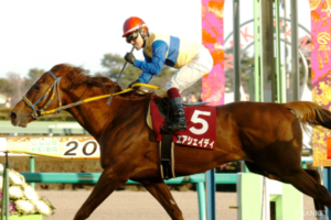 G1未勝利馬獲得賞金トップテン【10位】近親に重賞馬多数の良血馬！タフさを売りに14度も重賞で好走