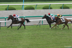 まるで重賞級…超ハイレベルだった“伝説の新馬戦”（3）後のGⅠ馬3頭激突…制したのは11年宝塚記念の覇者