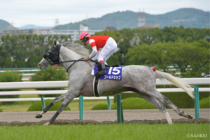 史上最強の芦毛馬は？ 獲得賞金ランキング【第1位】荒ぶる気性…破天荒で雄大な「憎めない愛されキャラ」