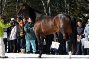 重視される「母父の名」…2024中央競馬BMSランキング【1位】やはり最強…鬼の強さは血統にも脈々と